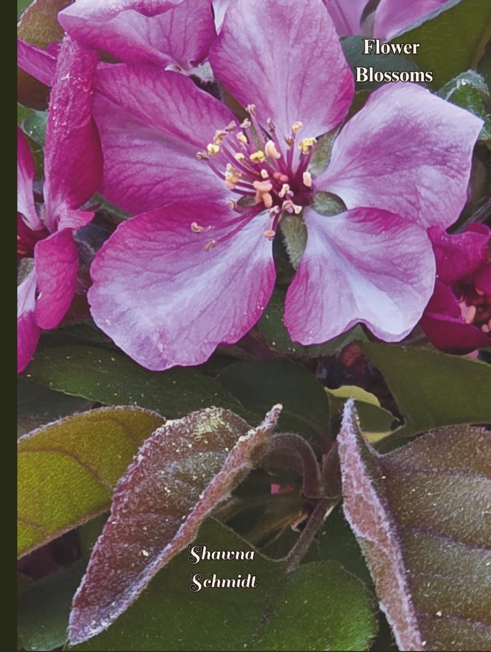Flower Blossoms: Coffee Table Book