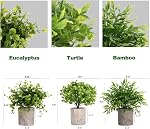 Decorative Artificial Plants in Pots Set of 3-Mini Potted Fake Plants in Pots,Plastic Eucalyptus Plants,Bamboo,Turtle Potted Faux Plants Indoor for Office Desk Coffee Table Wall Bedroom Decoration