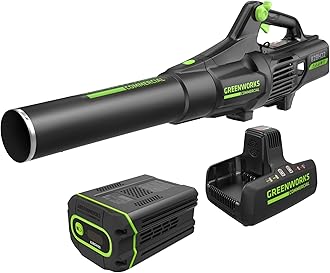 Greenworks 82V Brushless (760 CFM / 140 MPH) Cordless Leaf Blower, 4.0Ah Battery and Dual Port Charger (Great for Landscapers and Professionals)
