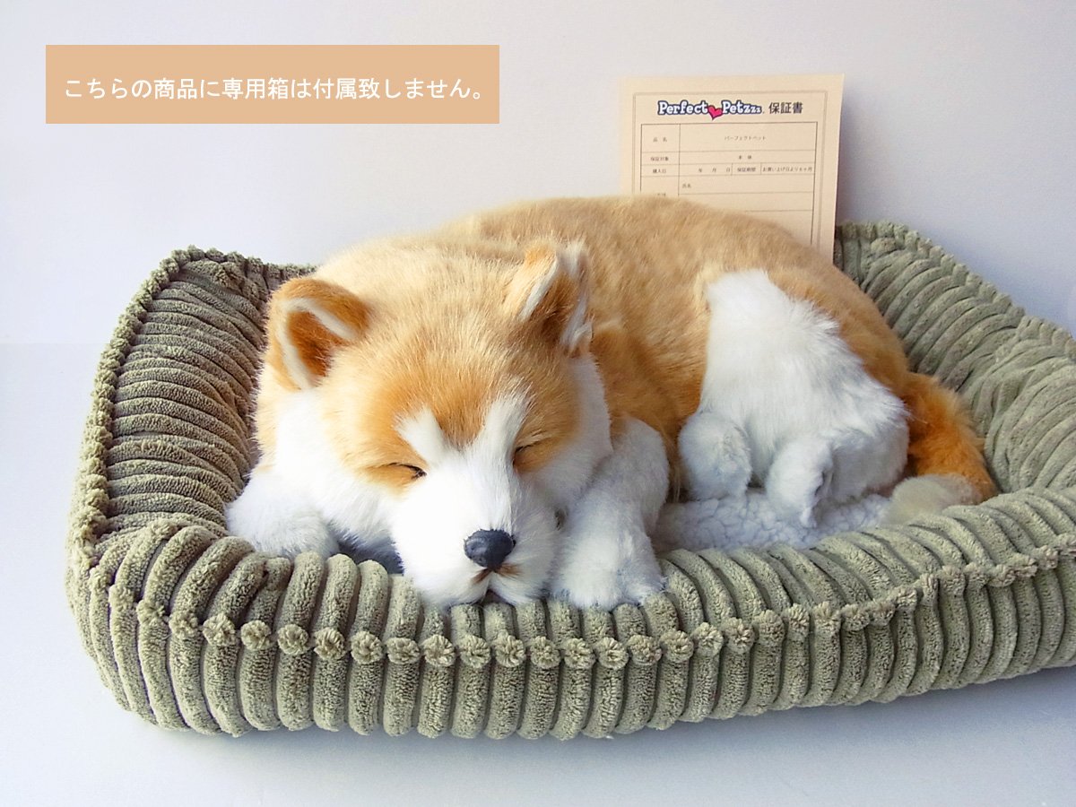 トーシンパーフェクトペット　柴犬 楽天市場】眠るように呼吸する パーフェクトペット (小サイズ) 柴犬