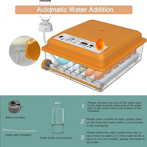 Miniatura 6 de Incubadoras para incubar huevos, incubadora de huevos de 24-36 con vela de huevos, girador automático de huevos y monitoreo de humedad, incubadora
