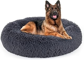 red dot dog bed