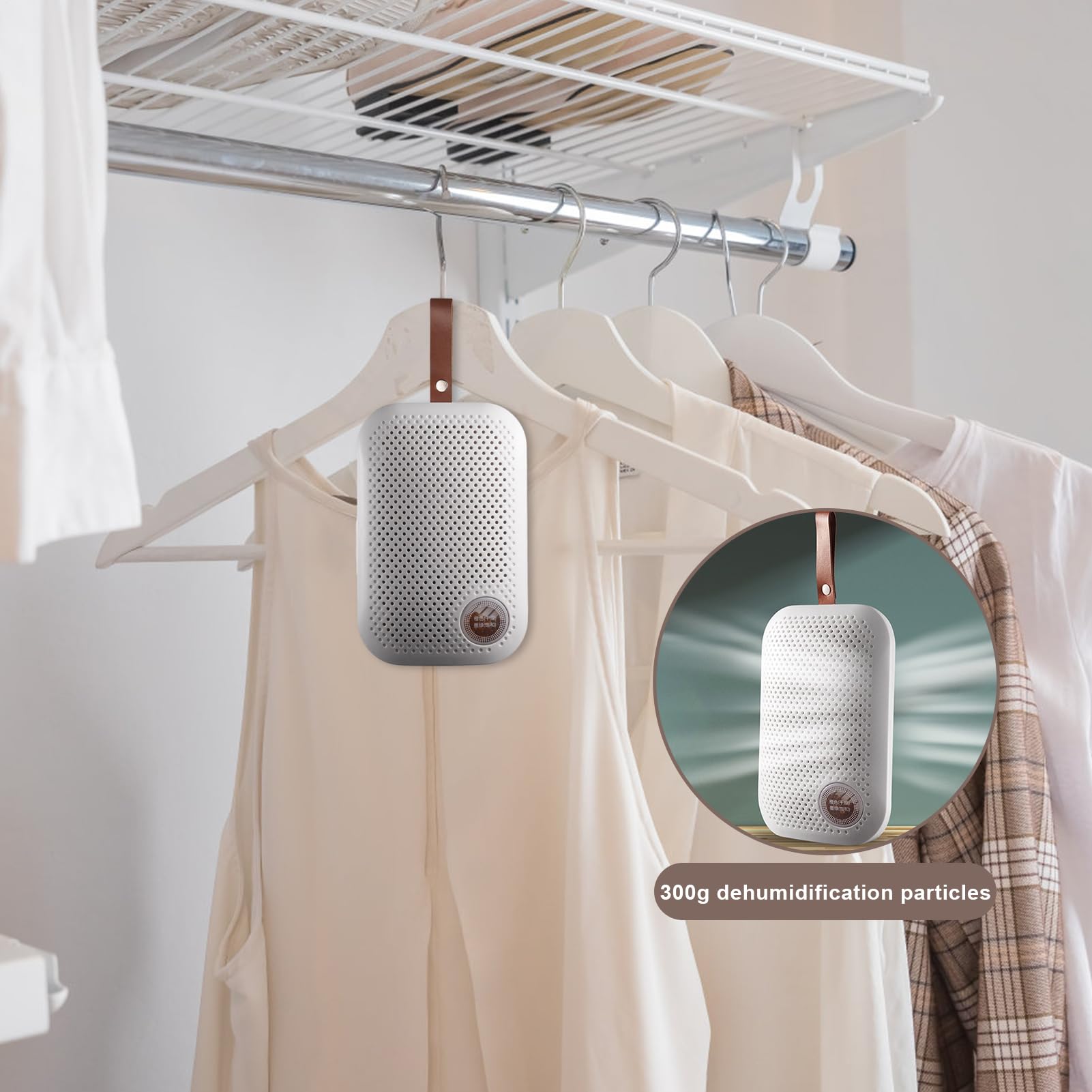 Deumidificatore Assorbitore di Umidità | Deumidificatore Mini Portatile Silenzioso con Laccetto per Interni Armadio Guardaroba Soggiorno e Mobile