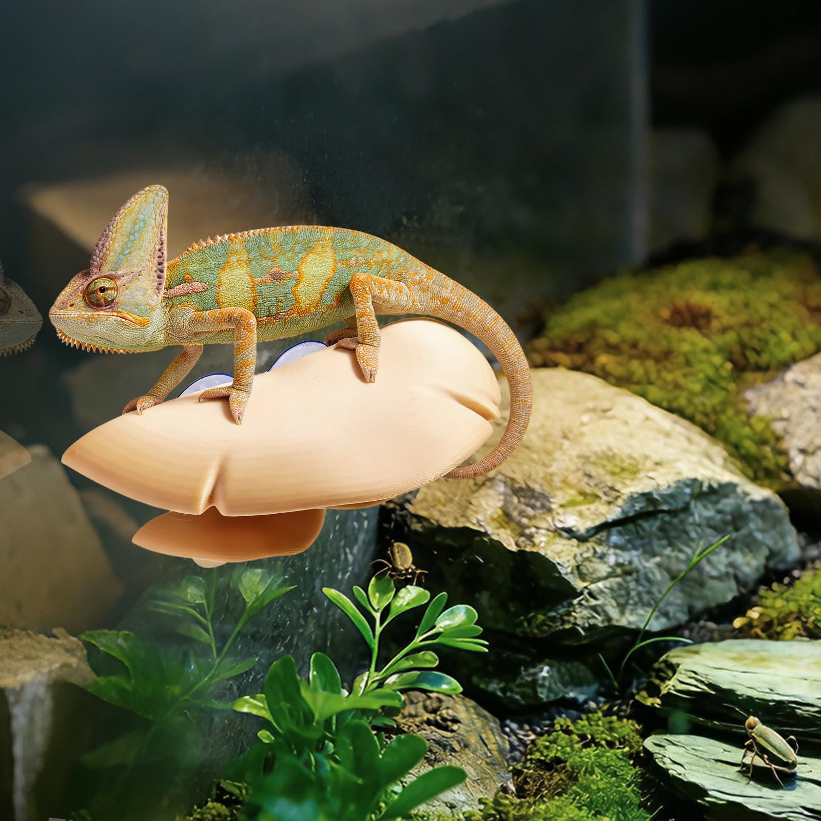 Boxili Reptile Basking Platform for Terrarium, Plastic Mushroom Habitat Ornament with Suction Cups, Bearded Dragons Tank Accessories for Crested Gecko, Lizards, Tree Frogs (Yellow)