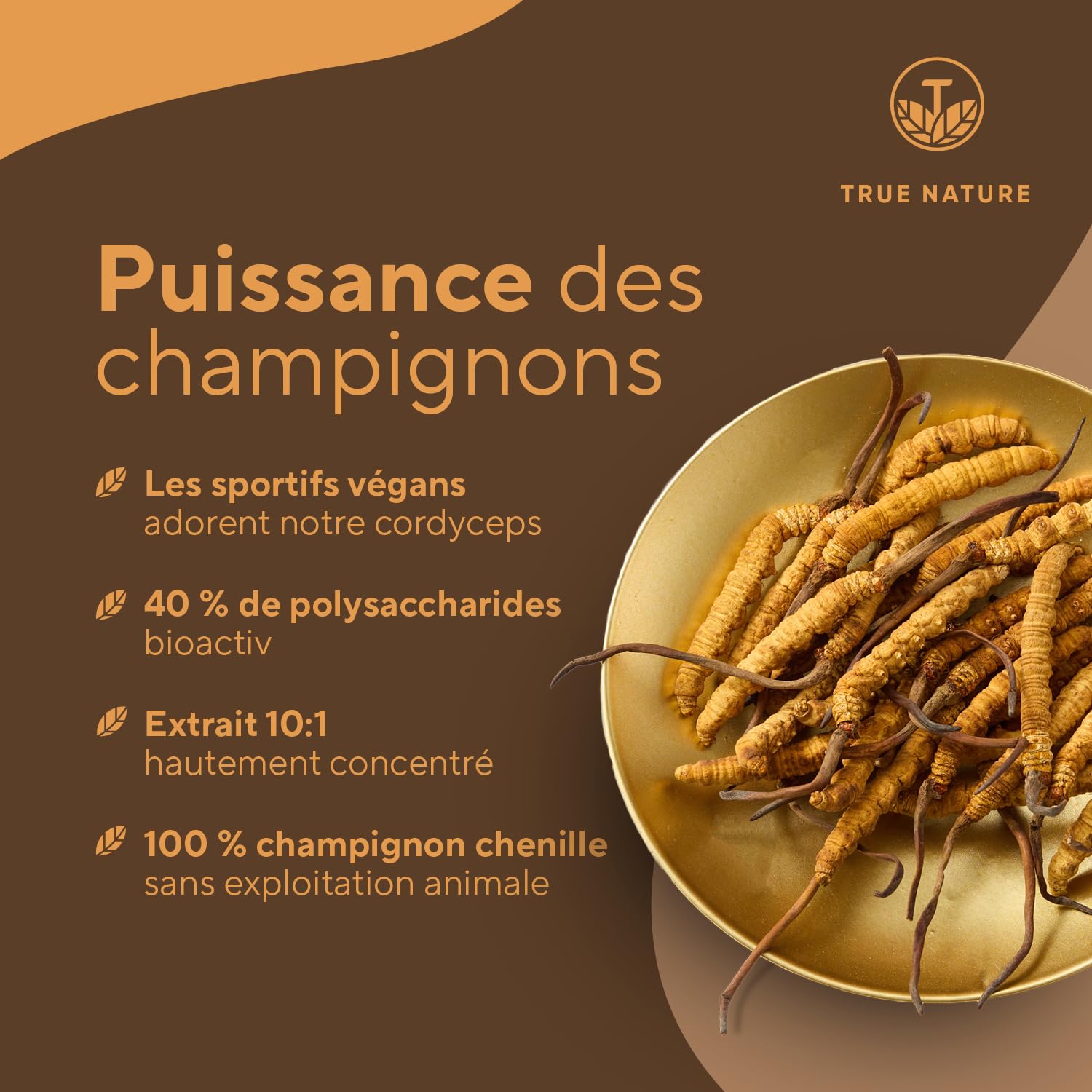 Cordyceps – 6.500 mg CS-4 (10:1) par unité | 270 Gélules pour 3 Mois | Vitalité, Énergie, Immunité | 40 % de Polysaccharides | Vegan, Sans Additifs, Gluten & Lactose – TRUE NATURE