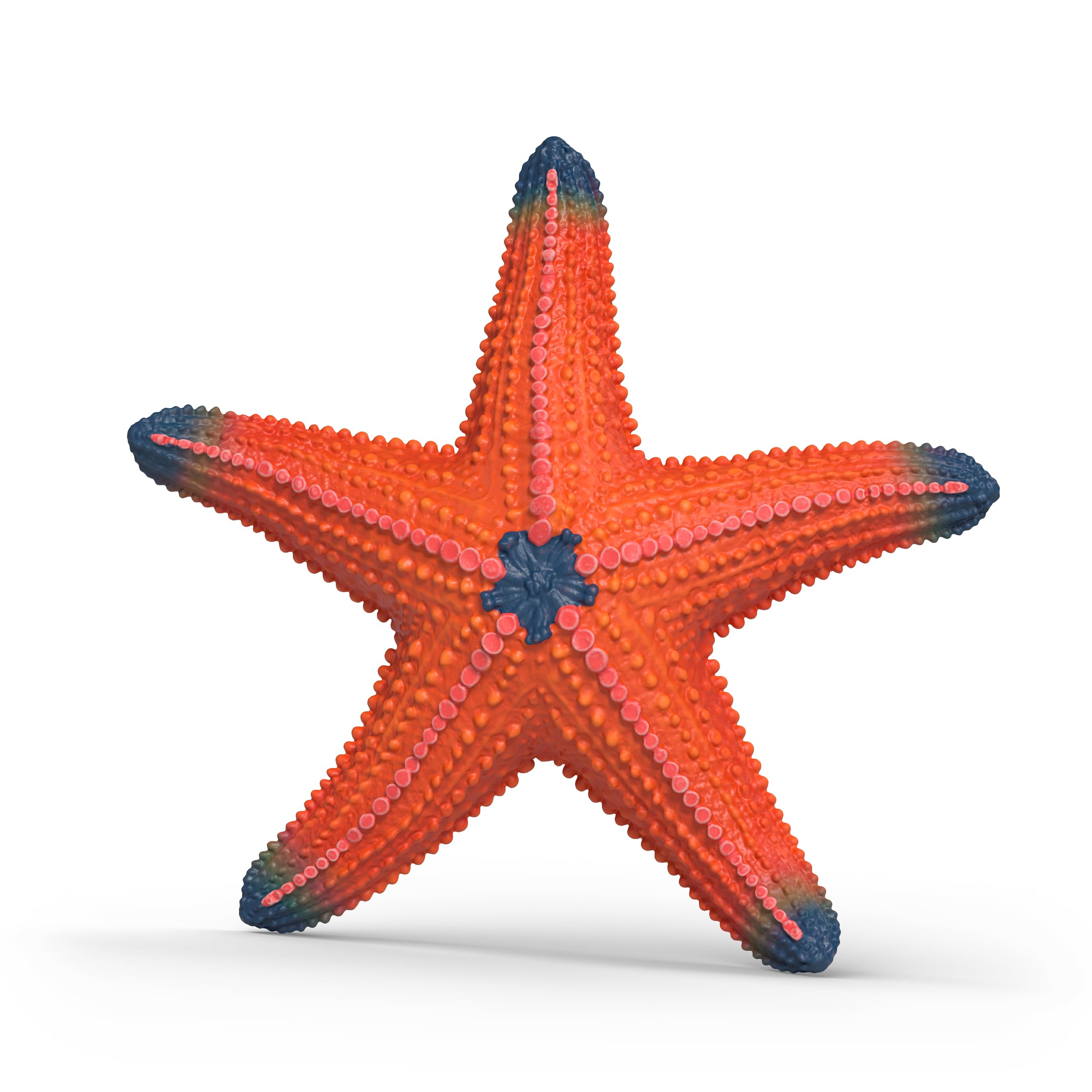 schleich WILD LIFE | Seestern mit Farbwechsel 14902 | detaillierte Tierfigur & Sammelfigur | Zoo Spielzeug | Geschenk für Jungen & Mädchen | Deko für Geburtstag | Spielfigur ab 3 Jahren | 7 x 7 x 2 cm - 2