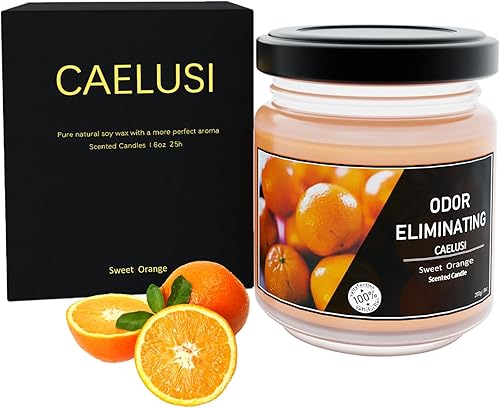 Velas aromáticas de cítricos para el hogar, velas de soja de 6 onzas, 25 horas de combustión, vela de aromaterapia para hombres y mujeres, regalos