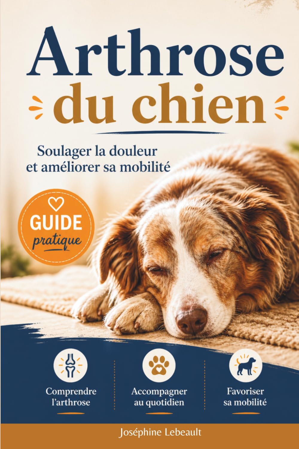 Arthrose du chien: Soulager la douleur, améliorer la mobilité et accompagner son chien au quotidien (Bien vivre avec un chien)