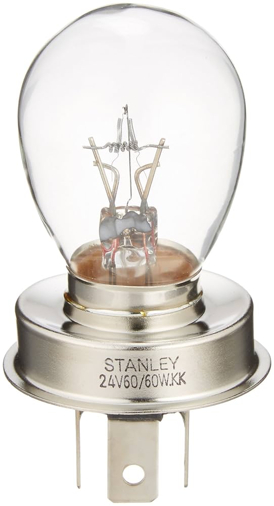 【未使用品】RAYDYOTレイヨット・ハロゲンフォグランプ フォグランプ ペア 純正 未使用 箱つき Raydyot（レイヨット）