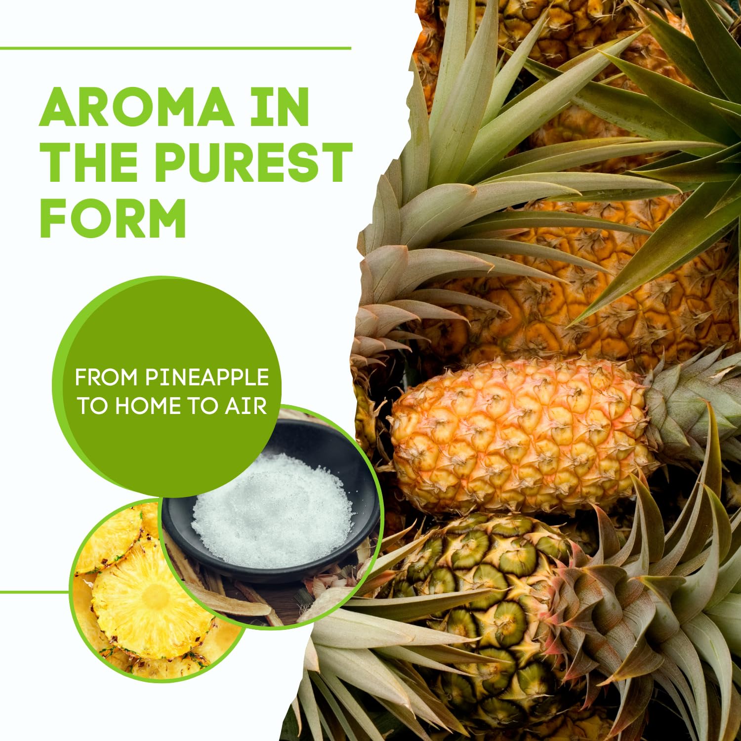 SAFAL Camphore Cone | Camphor Pods for Wardrobe | Pack of 2 | kapoor pods for room freshness | Air Freshener for Cars, Homes & Offices | Lasts up to 45 Days | Pure & Organic Camphor Cube (PINEAPPLE) 3