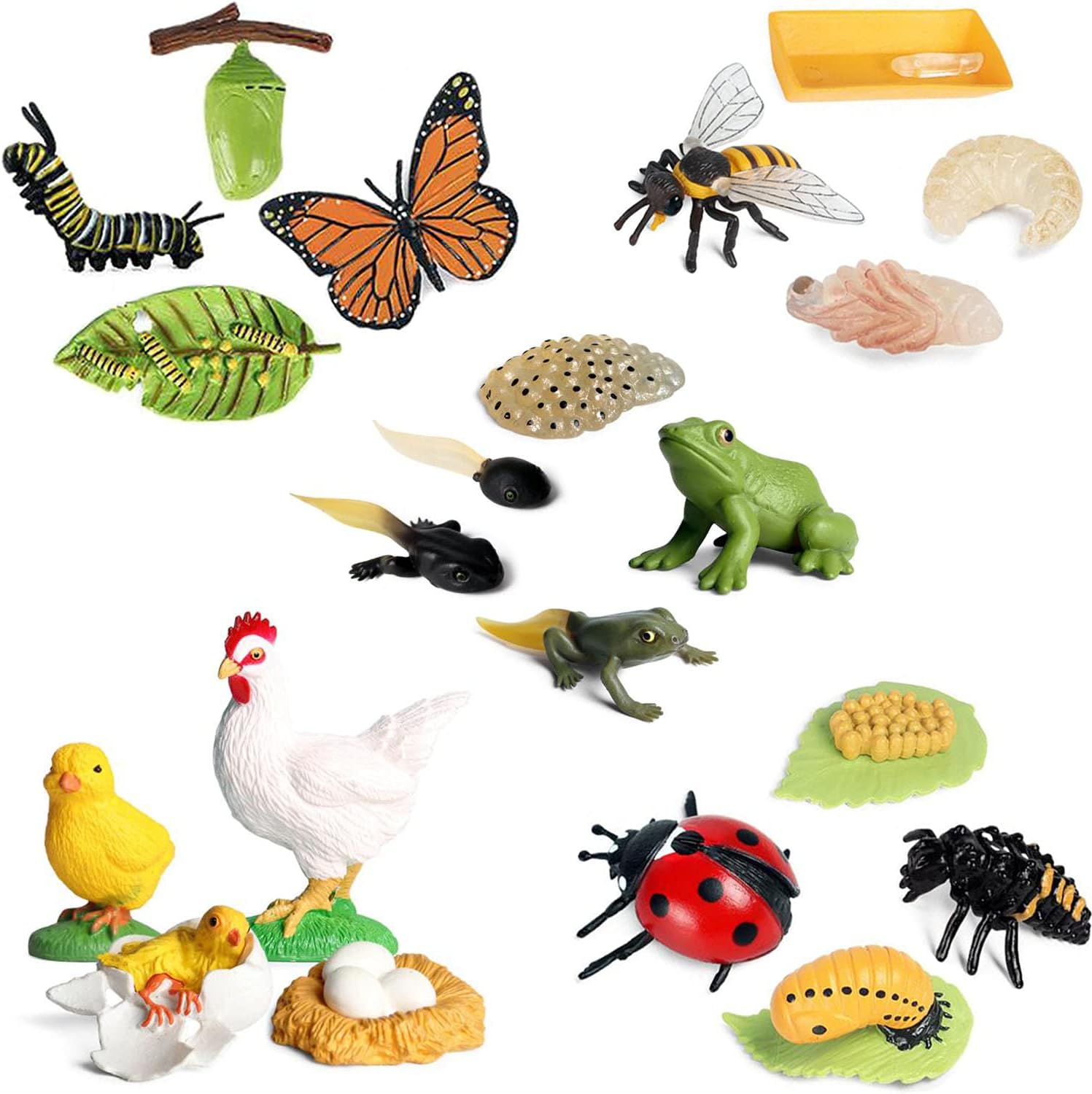 OrgMemoryLife Cycle Figurines, Showing Kids The 4 Stages of Butterfly, Ladybug, Honey Bee, Chicken and Frog (Set A) - 20 Pieces