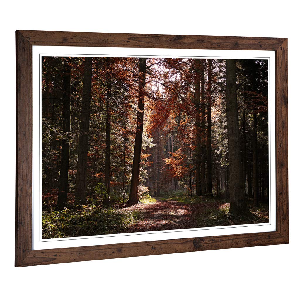 Big Box Art Framed Print of Landscape Autumn Forest Woodland Design | Wall Art Picture | Home Decor for Kitchen, Living Room, Bedroom, Hallway, Walnut, A2 / 24.5x18 Inch / 62x45cm