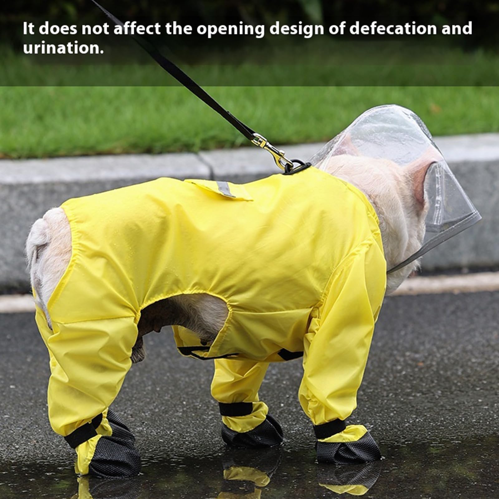 Regenmantel für Hunde, wasserdicht, reflektierend, für mittelgroße und große Hunde, winddichtes Design mit transparenter Kapuze