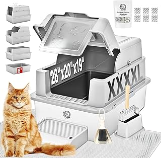Litter Box For Maine Coon Cat Picks collage image 1