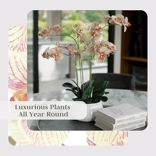 Miniatura 37 de CG Hunter Planta de orquídea sintética con suculentas, soporte de exhibición de flores artificiales de alta calidad para interiores de 23 pulgadas