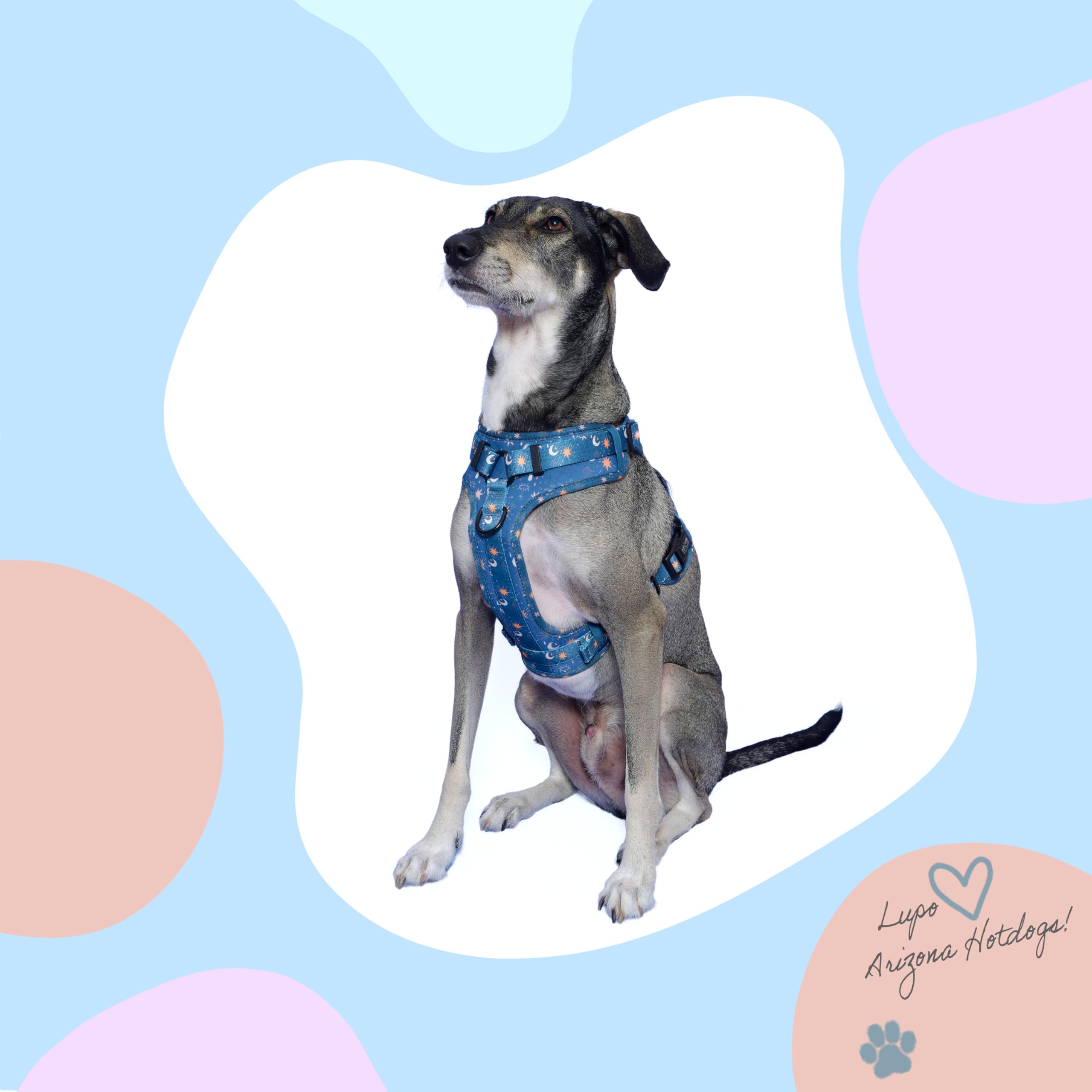 Hunde-Griffgeschirr Neopren | Arizona Hotdogs Griffgeschirr Moonlight| Dunkelblau (L)