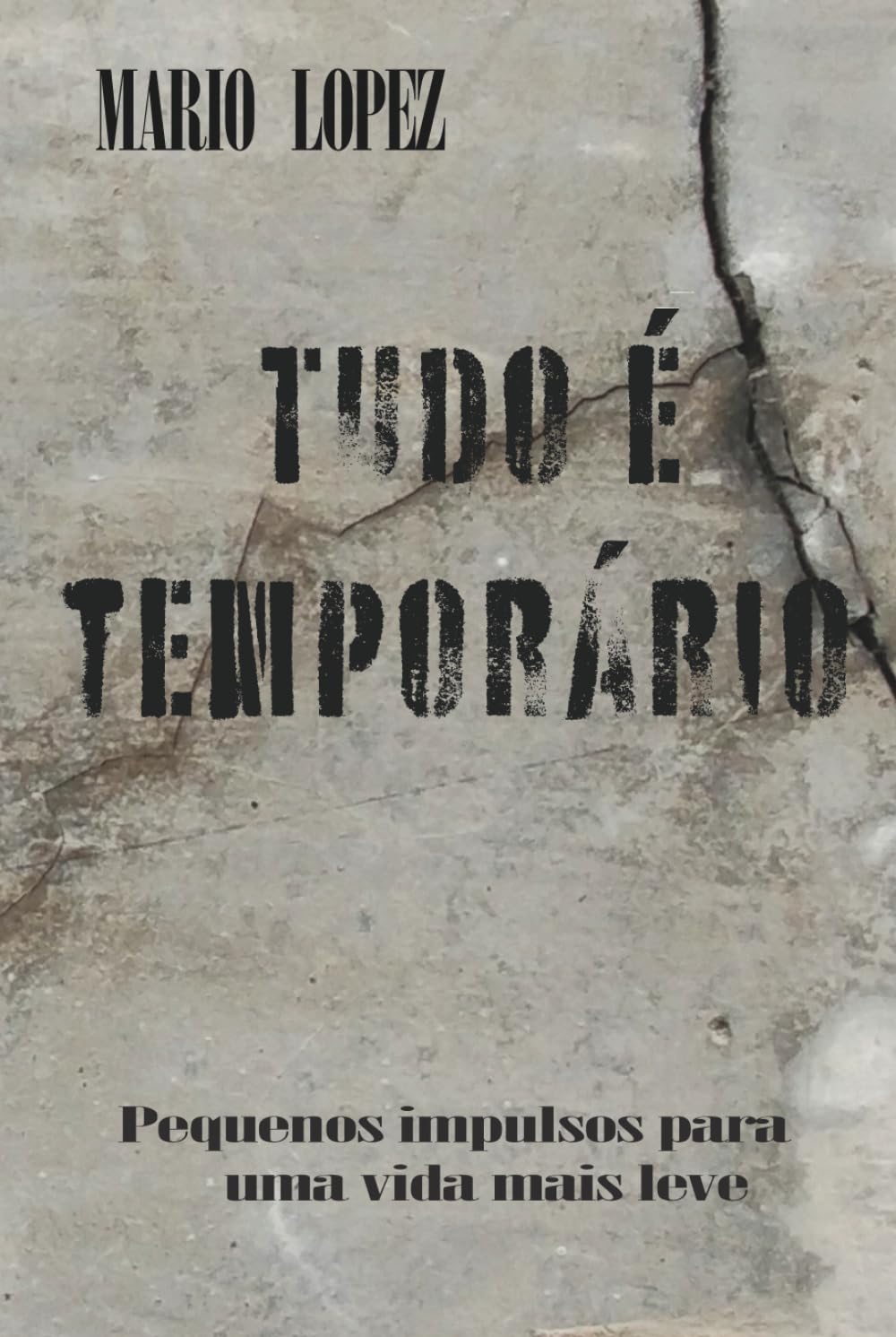 Tudo é temporário: Pequenos impulsos para uma vida mais leve