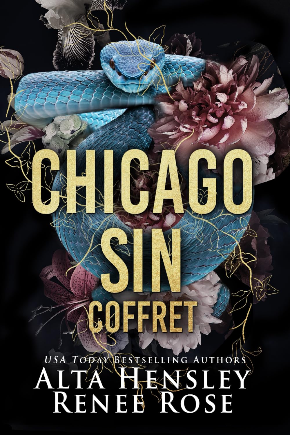 Chicago Sin Coffret (Série Chicago Sin)