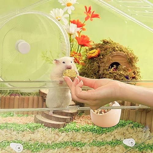Miniatura 4 de PENCK Cuenco pequeño de cerámica para comida y agua para hámster, erizo, hurón, rata, jerbo, chinchilla, cobaya, conejo, plato de conejo,
