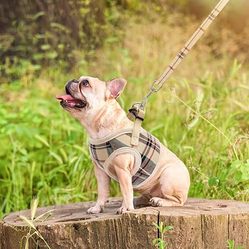 Miniatura 7 de Arnés para perros pequeño de malla suave con correa  Chaleco básico acolchado a cuadros para gatitos, cachorros, mascotas pequeñas