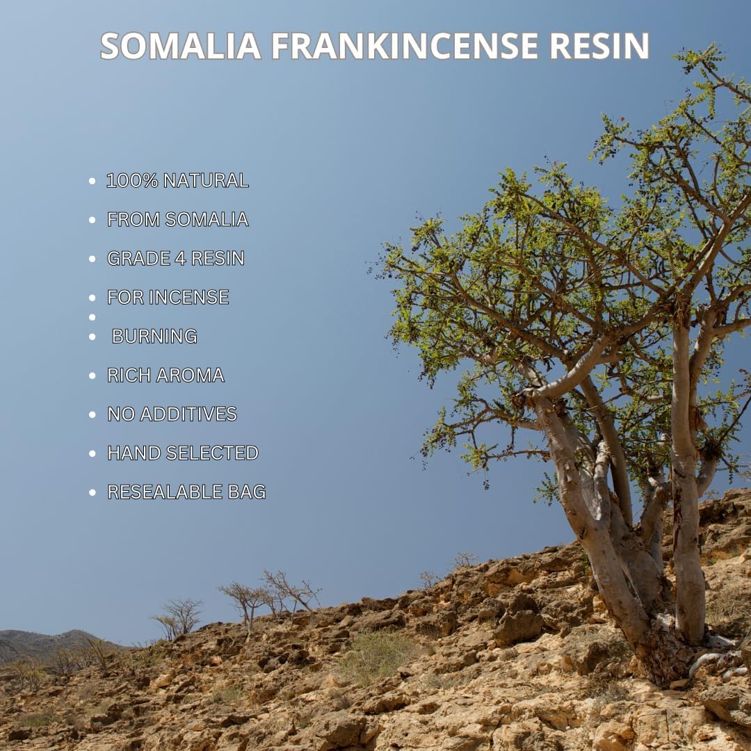 16 oz. Somalian Frankincense Resin Boswellia Carteri Gum Olibanum Grade 4 – Natural Incense Resin for Burning, Spiritual Use, Home Fragrance, Crafting, and Aromatherapy – Premium Quality