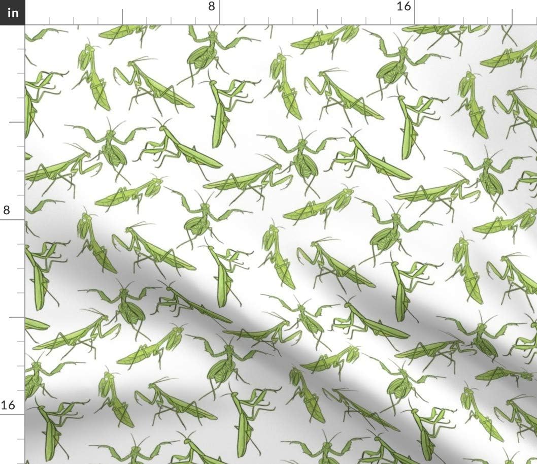 Spoonflower Fabric - Mantis White Entomology Entomologist Insects Bugs Insect Bug Beetle Printed on Petal Signature Cotton Fabric by The Yard - Sewing Quilting Apparel Crafts Decor