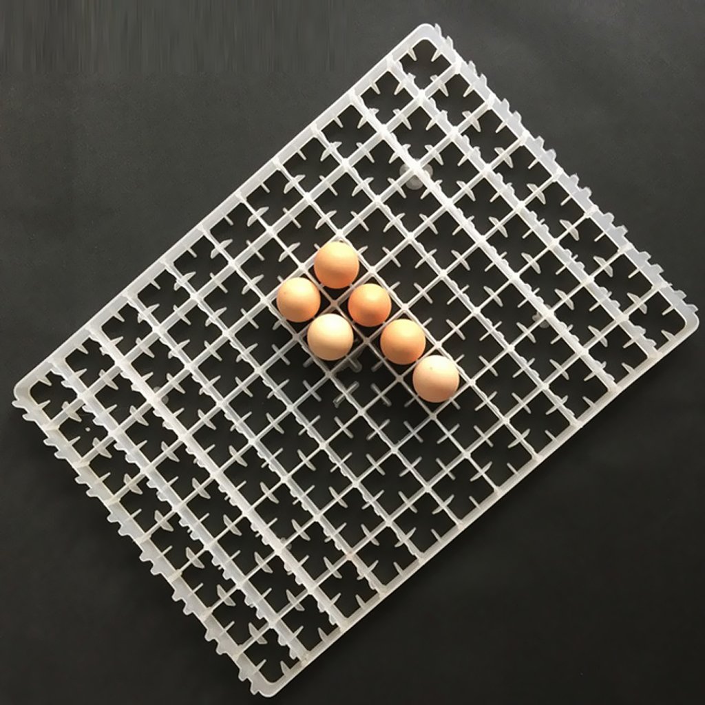 Juego de 3 bandejas para 88 huevos de gallina para incubadora de huevos de aves de corral