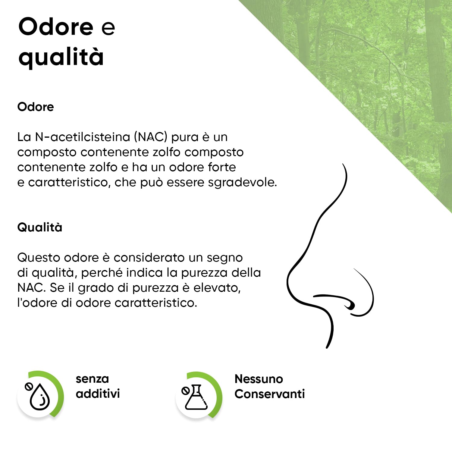 NAC Polvere 300 g N-acetile L-cisteina Alto dosaggio Vegano Testato in laboratorio