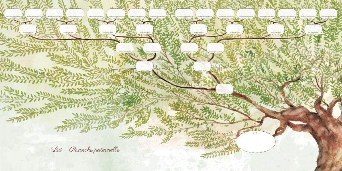 L'arbre de notre famille