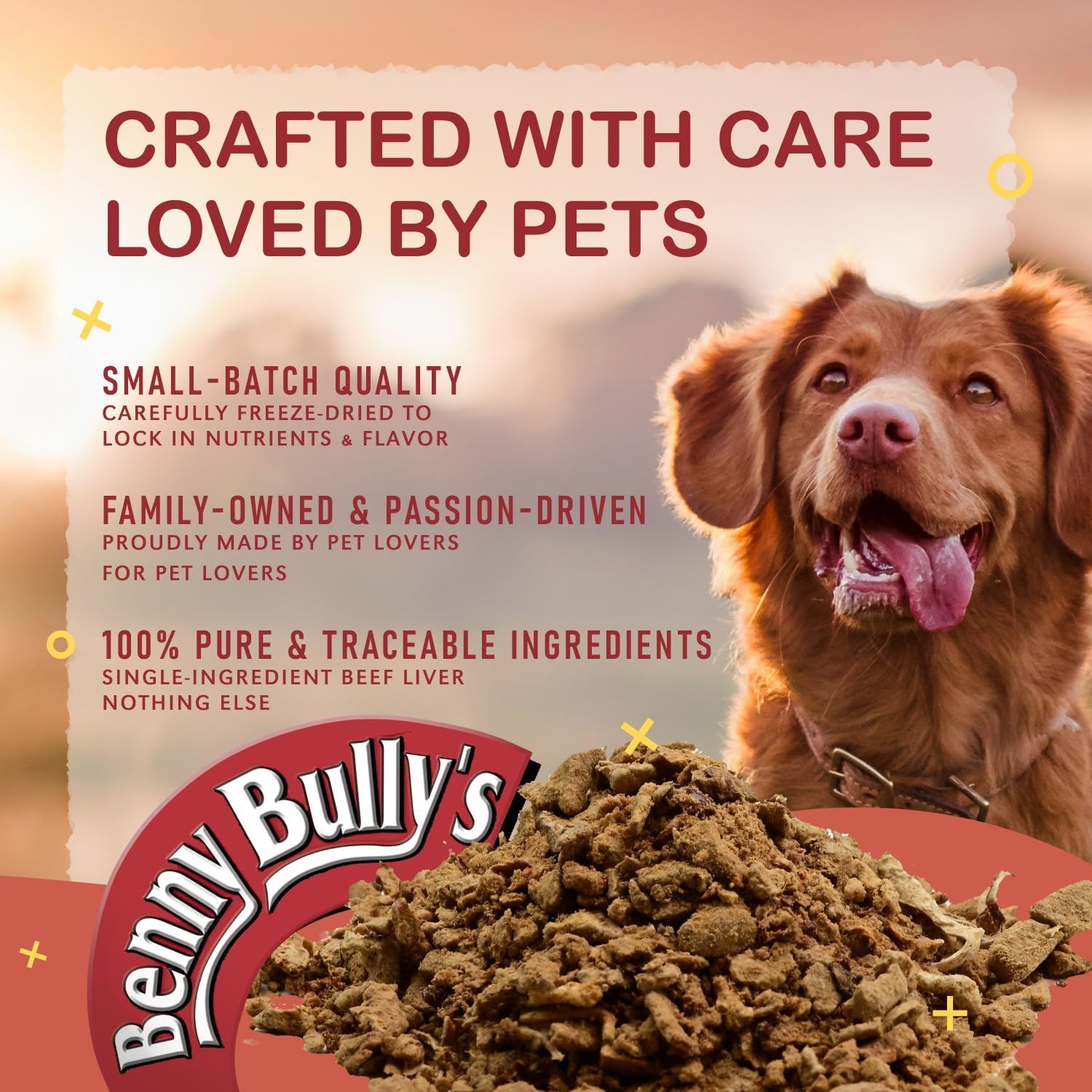 Benny Bullys LiverMix Crumbs & Powder 1Lb - Freeze Dried Beef Liver Dog Treats, High Protein, Low Fat, Nutrient Rich, Healthy Snack for Dogs, All Natural Ingredients - (454g)