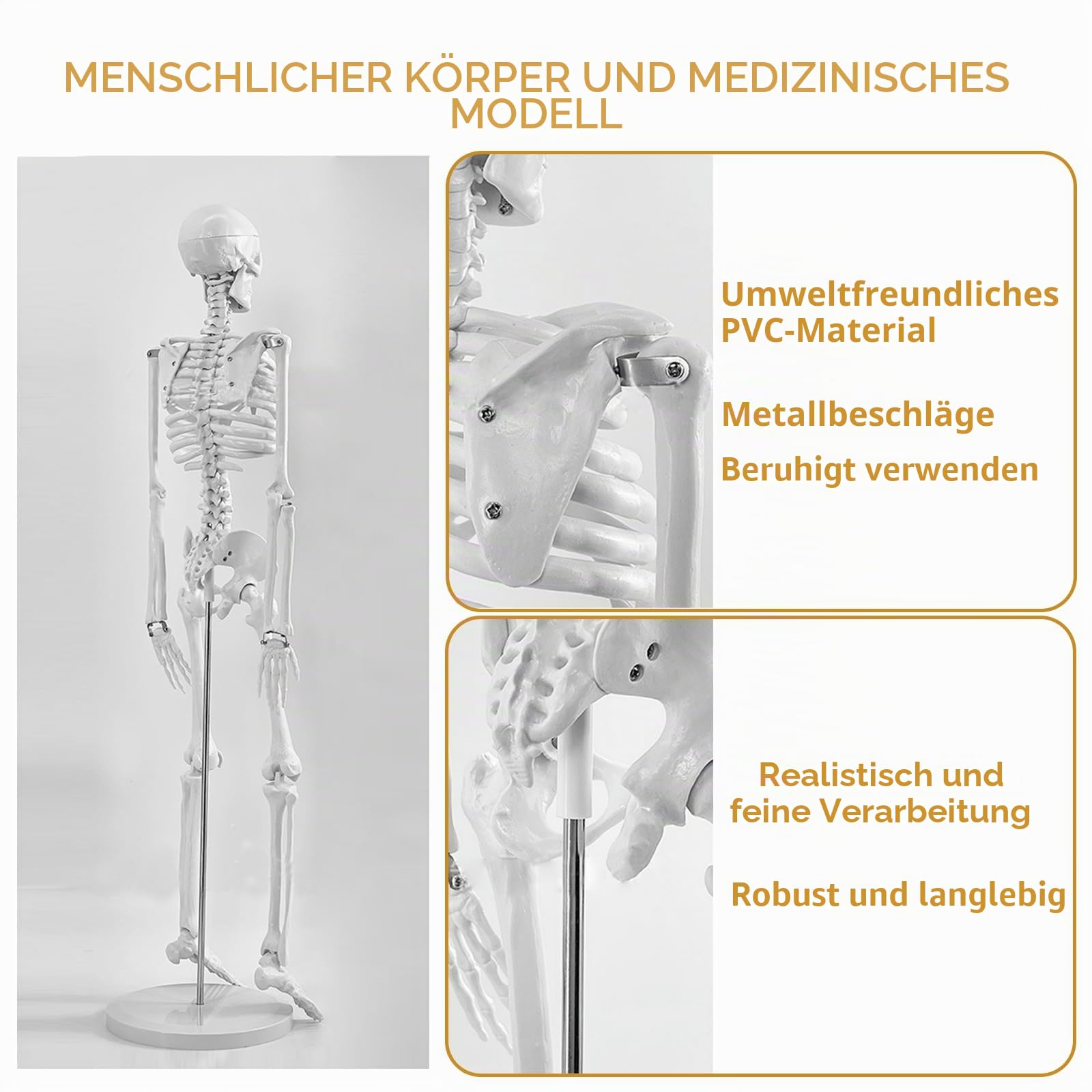 Mensch Skelett Modell für Anatomie, 85cm Ganzkörper Mensch Skelett Modell Anatomy Skeleton Menschliches Skelett mit Und Bewegliche Arme Und Beine für Medizinisches Lehren, Bildung, Lernen, Display