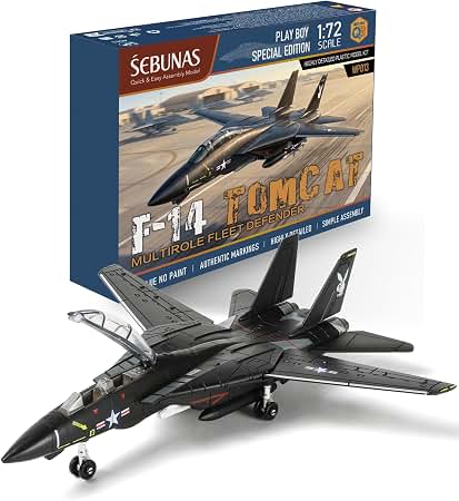 Amazon.com: Hasegawa F-14D Tomcat VF-213 Blacklions Last Cruise