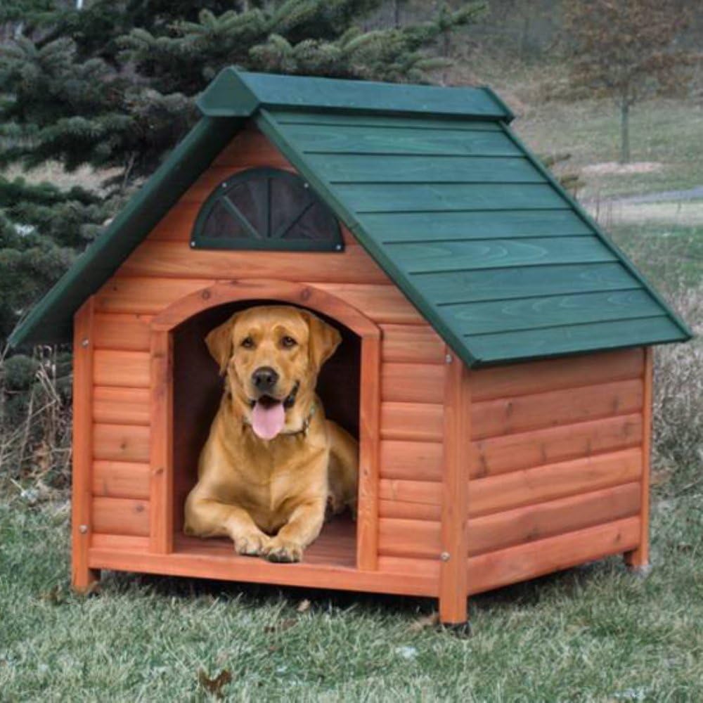 Spotty Dog House