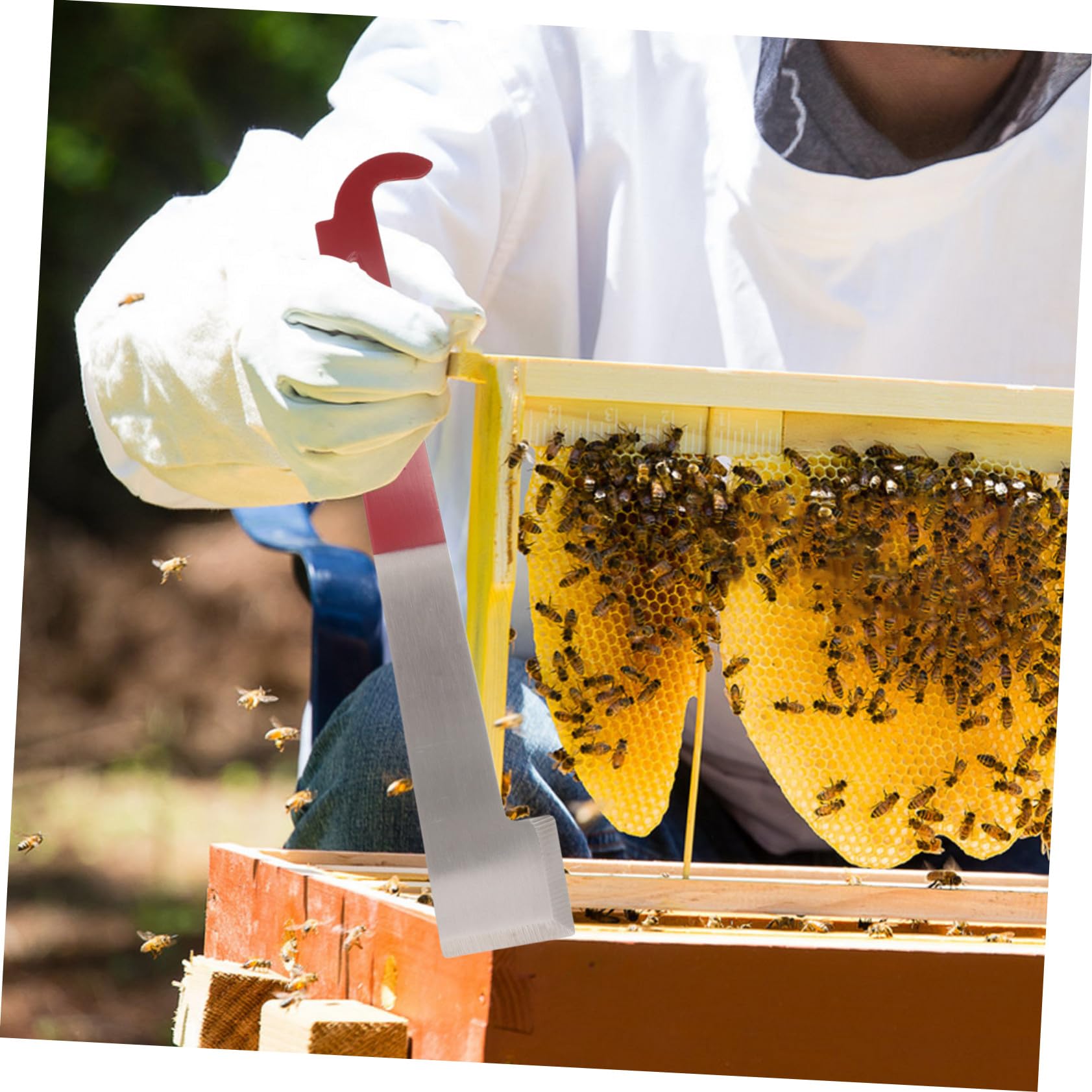 Kit de 5 Outils D’apiculture en Acier Inoxydable pour Ruches