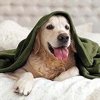 Vista 341 de BEDELITE Fleece Blanket White Throw Blanket for Couch & Bed, Luxury Plush Cozy Fuzzy Blanket 50" x 60", Super Soft Warm Lightweight Throw Blanket