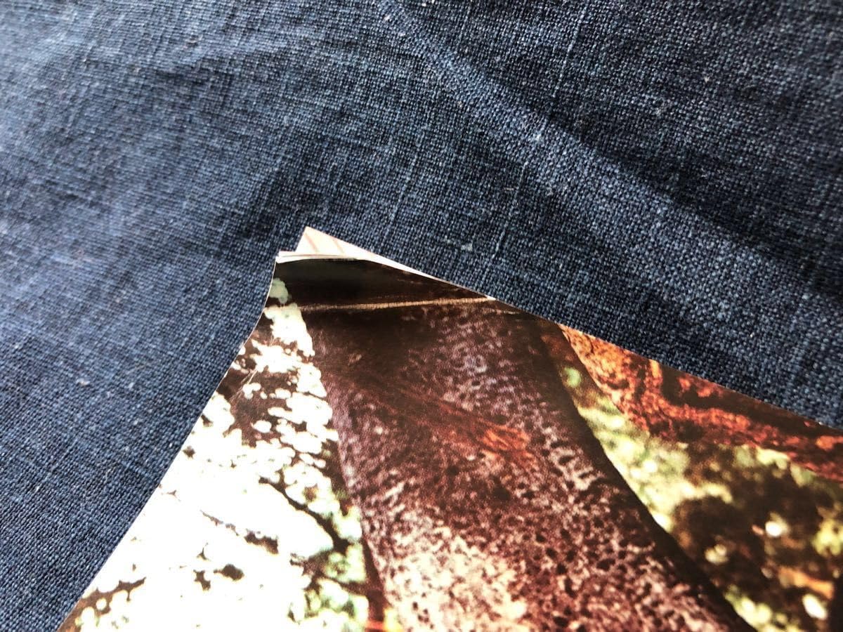 スピッツ 3050 缶バッジ Amazon.co.jp: Spitzスピッツ 30thANNIVERSARY TOUR “3050”缶