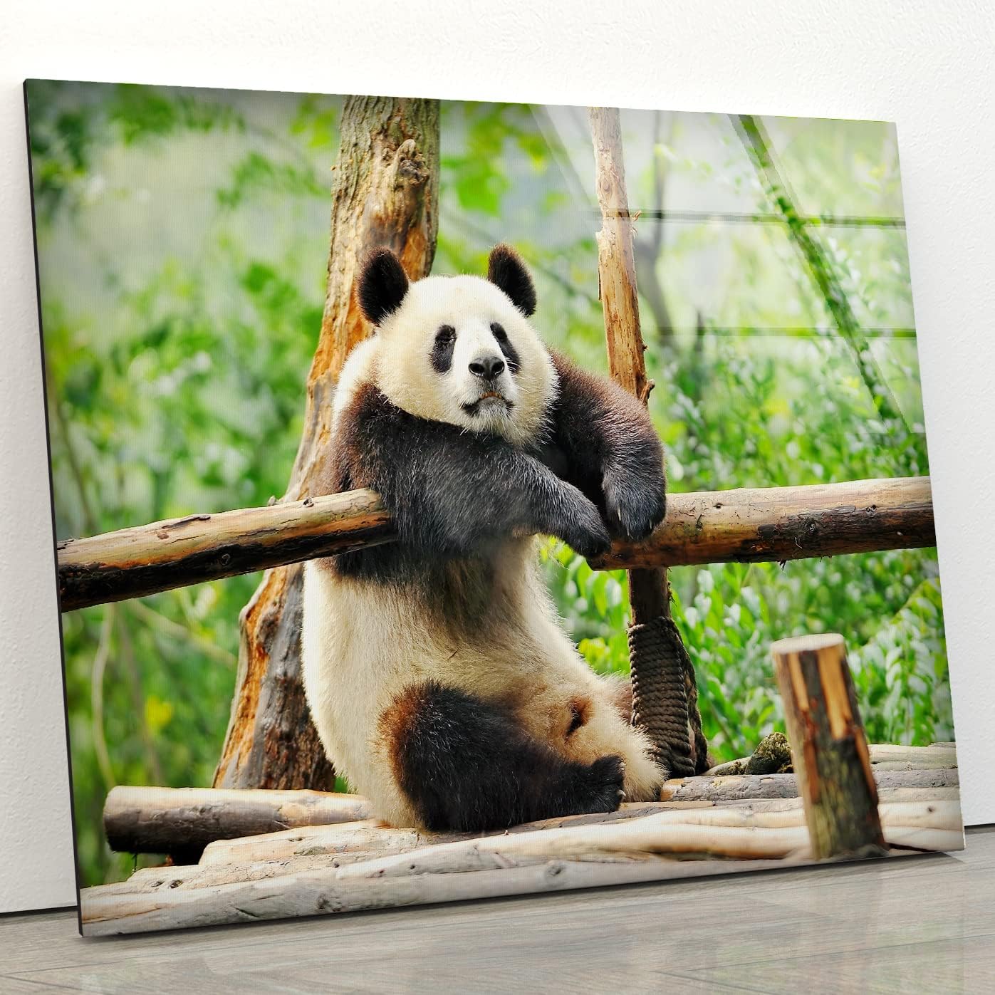 Myphotostation Panda Wall Art Tempered Glass Wall Art 12x12'' Modern Decor Glass Printing Large Wall Art Tempered Glass Panel African Safari Animal Wall Decor Cute Pandas Wall Art