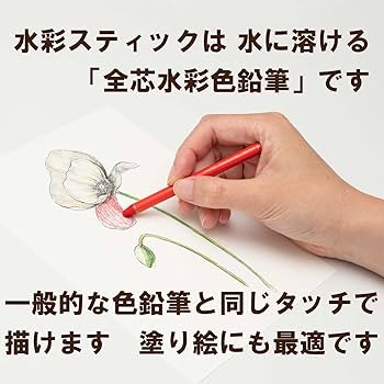 Amazon | ぺんてる 全芯色鉛筆 水彩スティック 12色