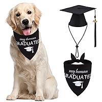 Algopix Similar Product 11 - PUPTECK Dog Birthday Bandana Scarf with