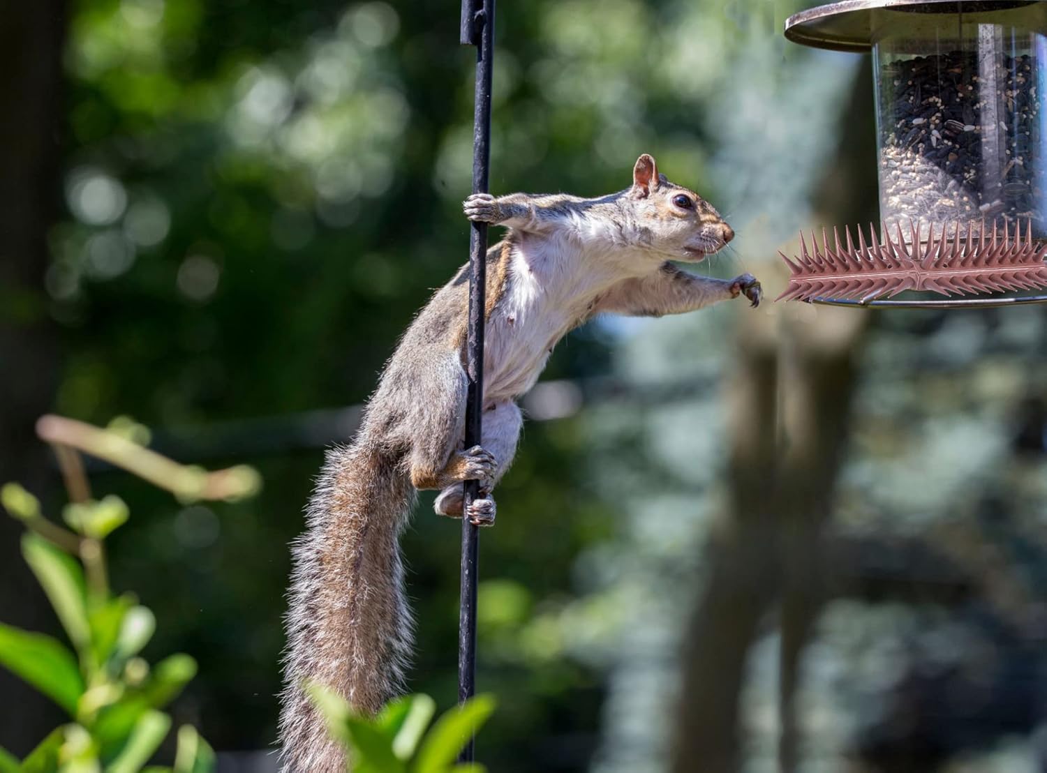 24-Pack Pigeons Bird Spikes for Outside with 30 Cable Ties, Birds Deterrent Spikes for Pigeons and Other Small Birds, Squirrel Spikes Keeping Raccoon Cats Away from Fence Roof Mailbox Brown