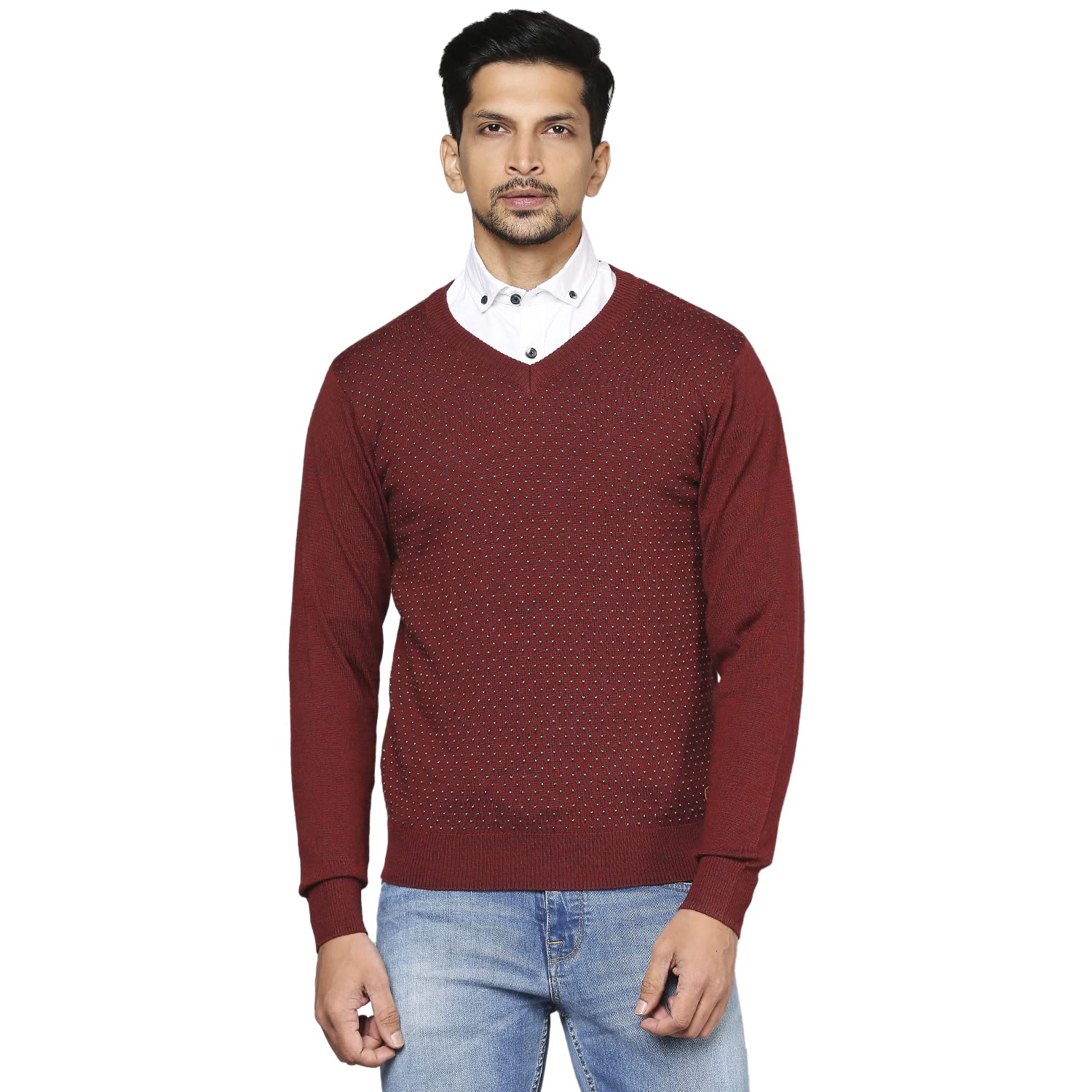 raymond Men Sweater-picture-51