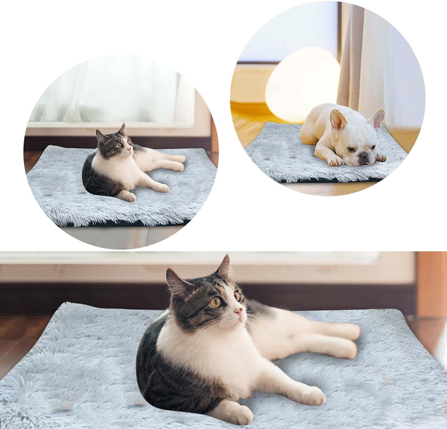 review Dog Bed Calming Medium Dog Bed Deals of The Day Square Cat Beds Washable Self Warming Cat Mat Anti-Slip Ultra Soft Anti Dog Anxiety Cuddle Cup Cat Bed Cat Bed