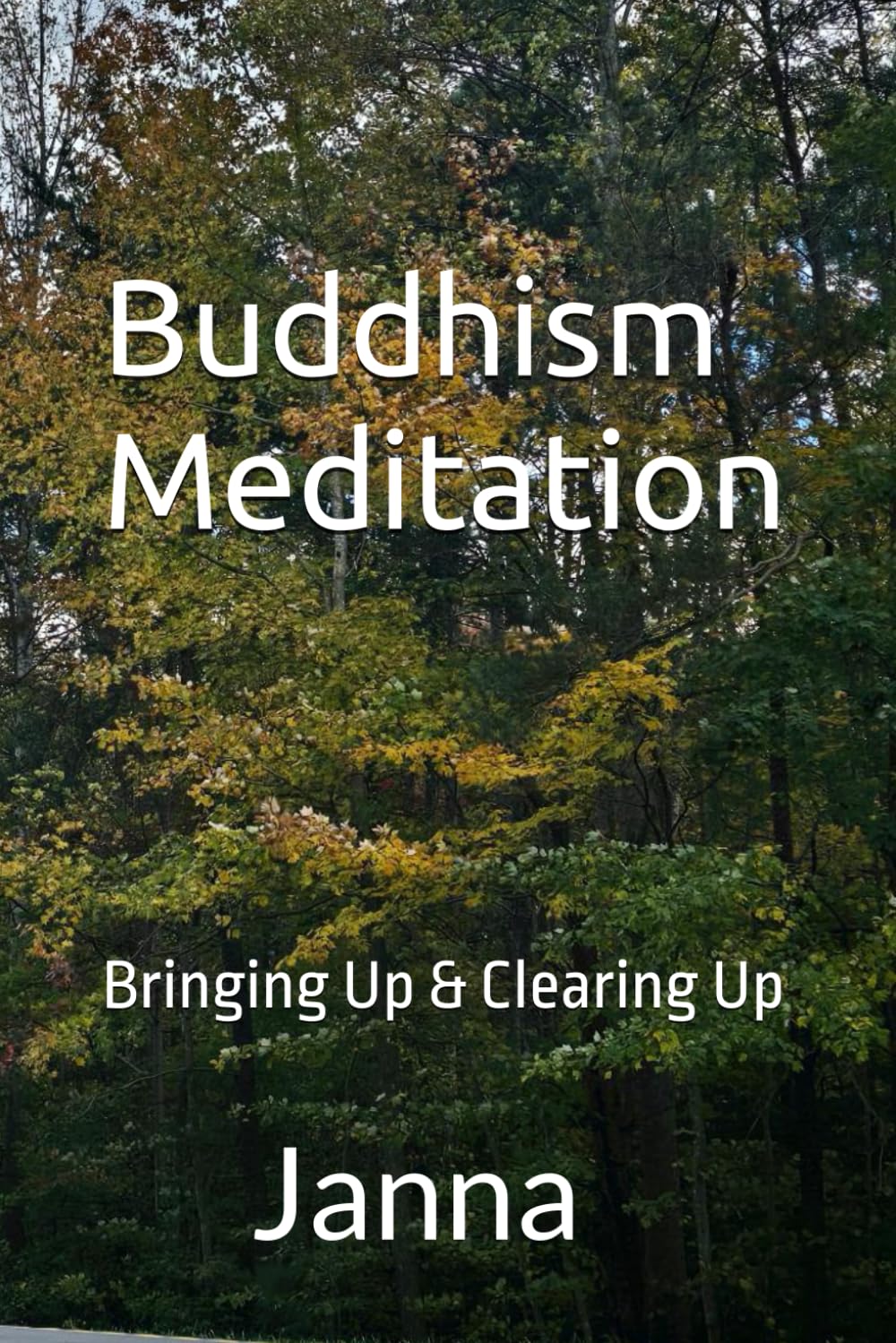 Buddhism Meditation: Bringing Up & Clearing Up