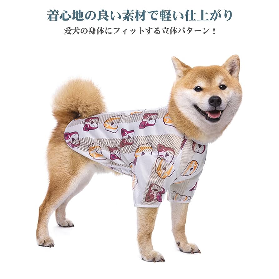 ドムカデザイン 犬服セット ドムカデザイン (@domuca_design) • Instagram photos and videos