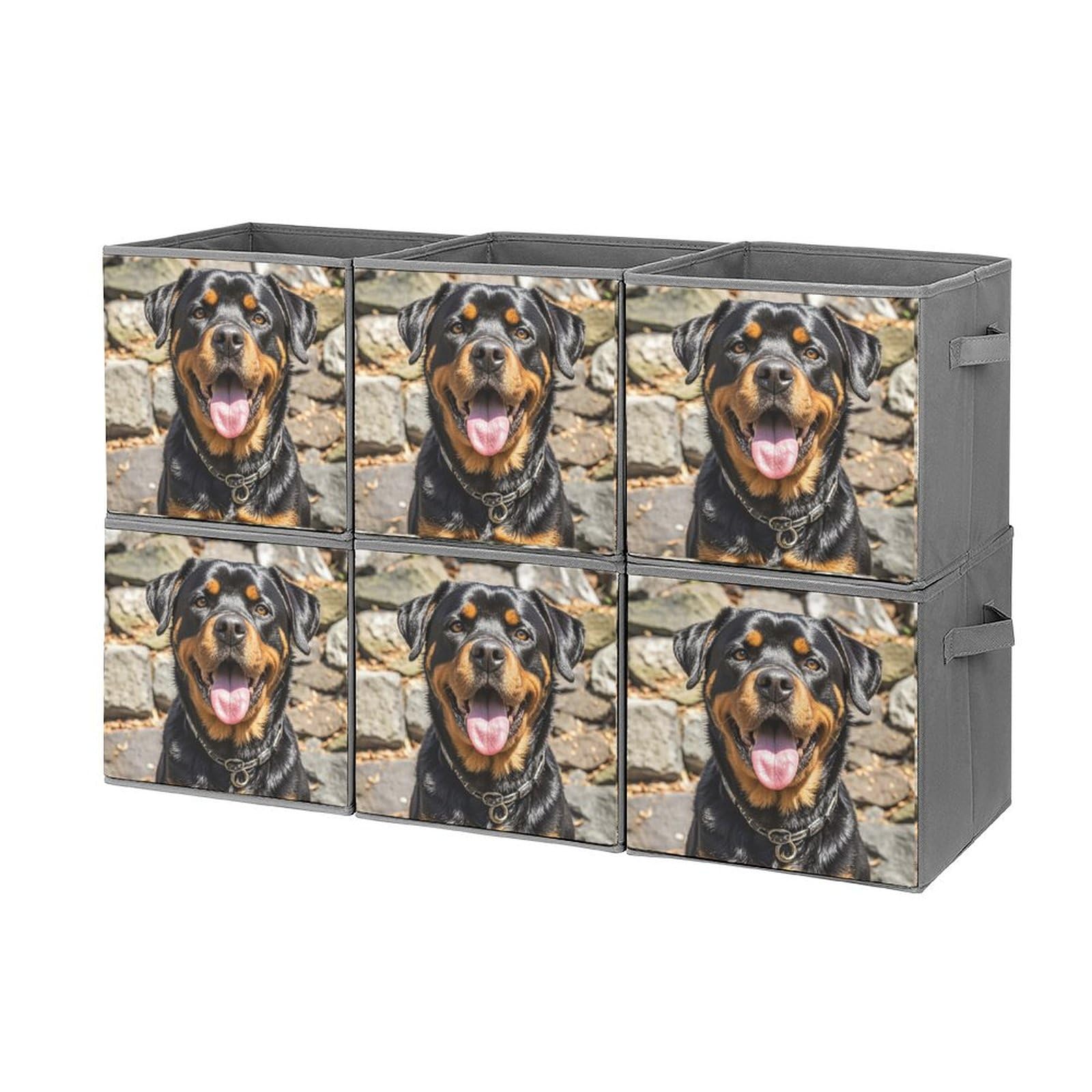Boîte de rangement pour jouets Rottweiler : salon ordonné