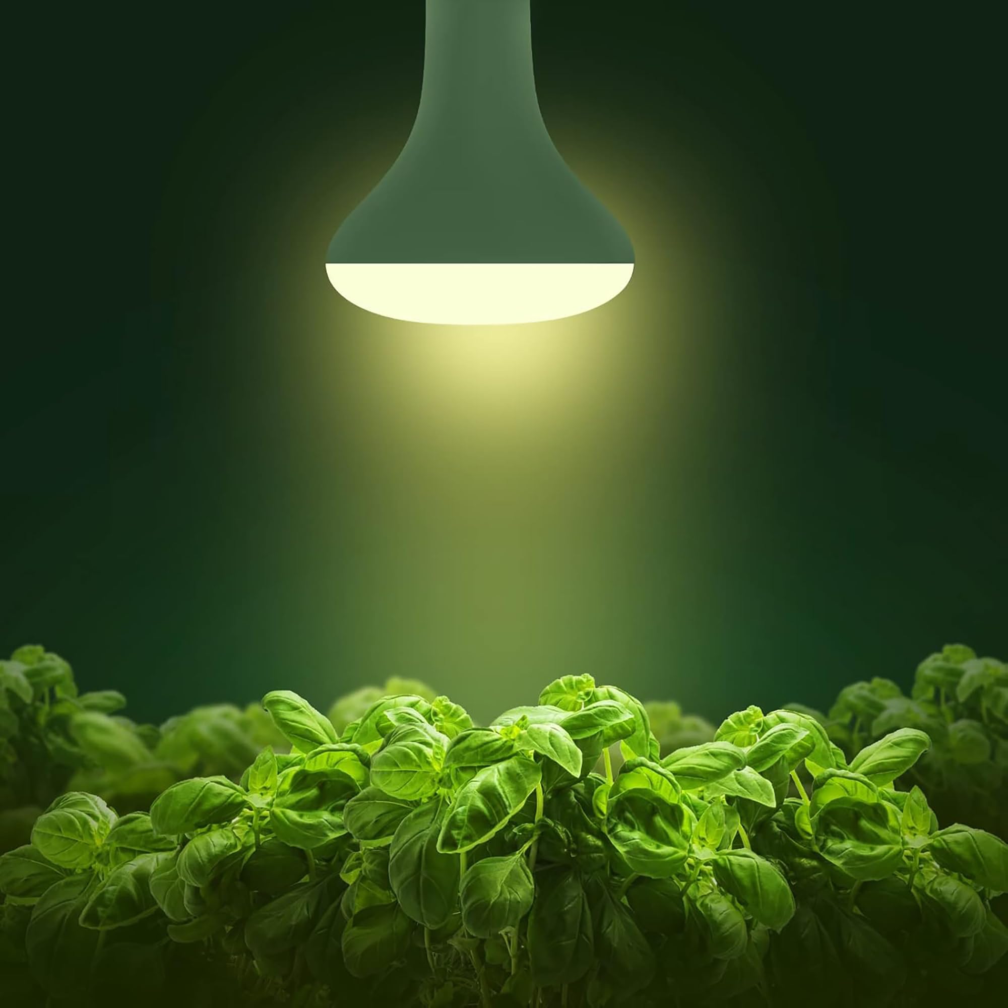 Briignite Pflanzenlampe, Grow Lampe, E27 Pflanzenlampe LED Vollspektrum, BR30 12W Pflanzenlicht für Zimmerpflanzen, Pflanzenlicht Anzucht, Wachstumslampe für Pflanzen, Größe 13 * 9.5cm, 2 Stück