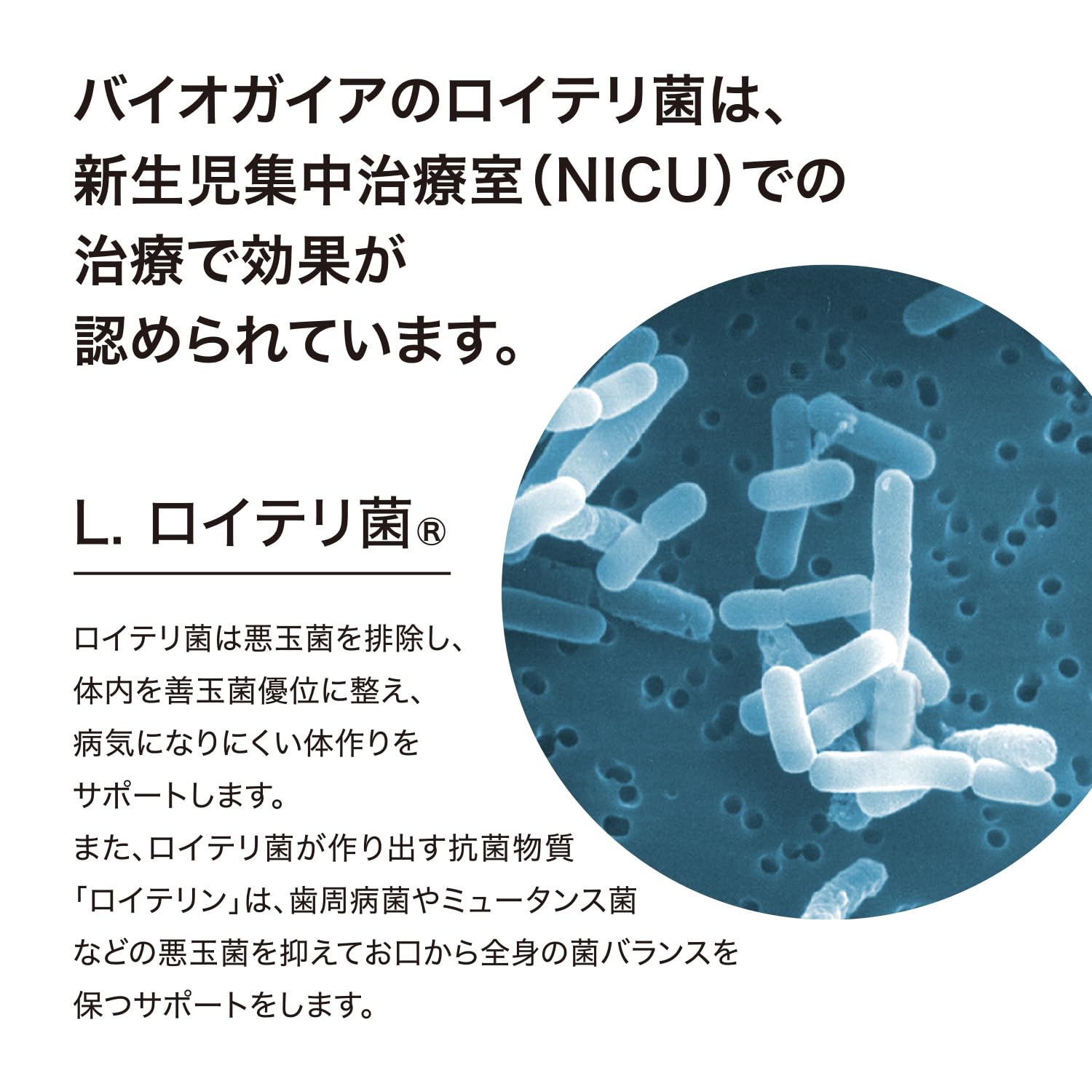 バイオガイア プロテクティスVD3 オレンジ味　30粒✖️5箱＋5パケット Amazon | バイオガイア プロテクティス＋ビタミンD3 30粒 オレンジ味