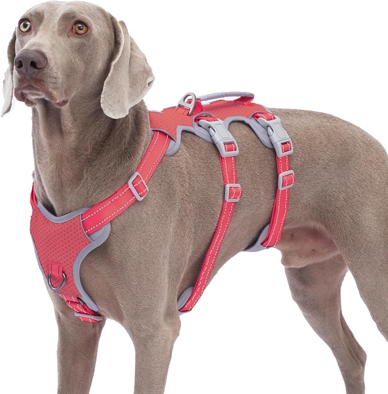 Peitoral Vest para Cães Huntboo com Alça de Controle, Material Refletivo e 5 Pontos Ajustáveis Vermelho XL