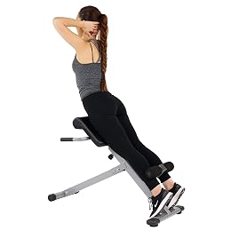 Sunny Health & Fitness Multi-Function Roman Chair with Dip Station & Sit-Up Bench, Adjustable Heavy-Duty Strength Training Equipment for Glutes, Core & Lower Body Workouts, Hyperextension Machine for Home Gym