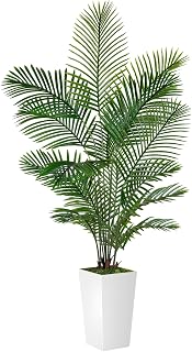 Palm Tree 6FT Artificial, 72in Tall Faux Palm Tree with 15.7 White Planter, Fake Potted Tree for Indoor & Outdoor Home Office Decor